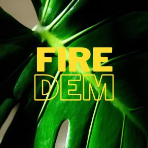 Fire Dem album cover