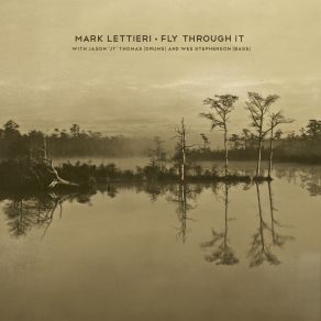 Fly Through It album cover