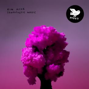 Sympathetic Magic album cover