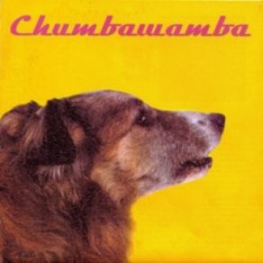 WYSIWYG album cover