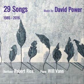 29 Songs - 2016: Music By David Power album cover