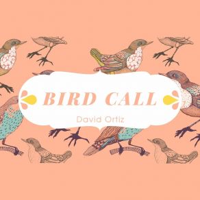 Bird Call album cover