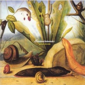 Great Divide album cover