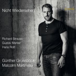 Nicht Wiedersehen! album cover