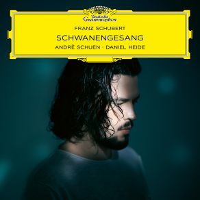 Schubert: Schwanengesang album cover
