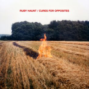 Cures For Opposites album cover
