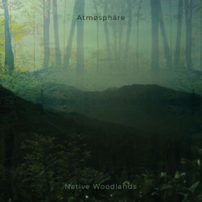 Native Woodlands album cover