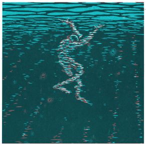 Sedatives album cover