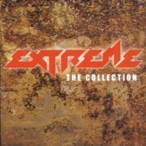 The Collection album cover