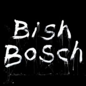 Bish Bosch album cover