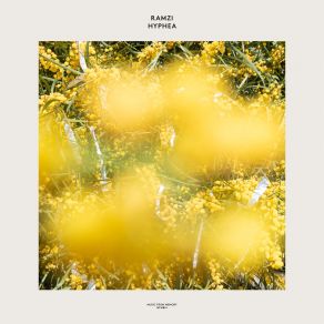 Hyphea album cover