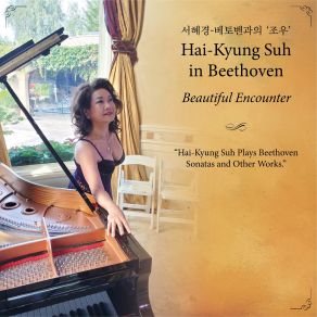 Beethoven - Beautiful Encounter album cover