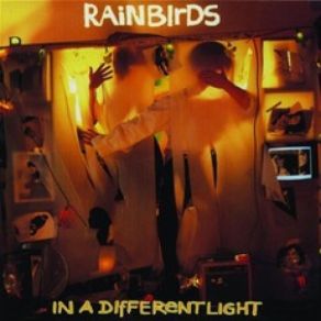 In A Different Light album cover