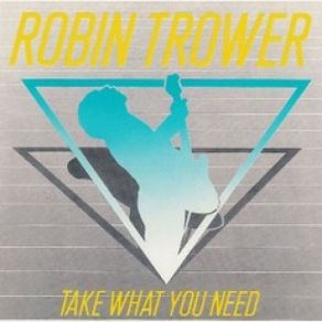 Take What You Need album cover