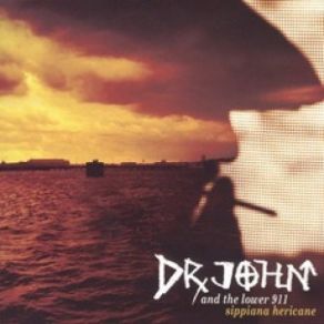Sippiana Hericane album cover