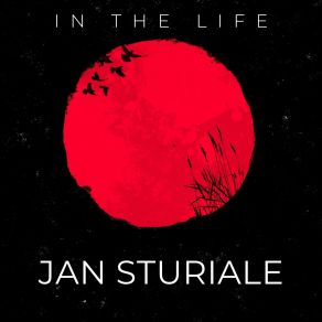 In The Life album cover