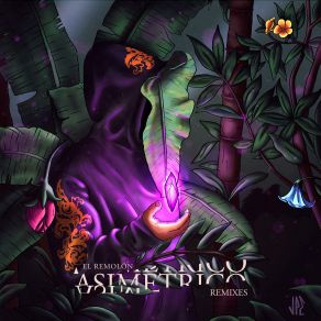 Asimétrico Remixes album cover