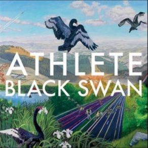 Black Swan album cover