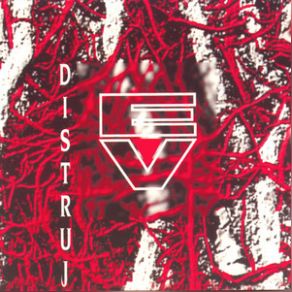 Distruj album cover