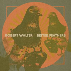 Better Feathers album cover