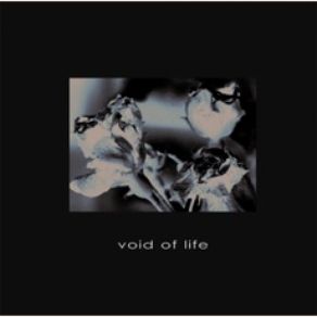 Void Of Life (Expanded Verison) album cover