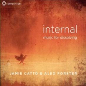 Internal: Music For Dissolving album cover