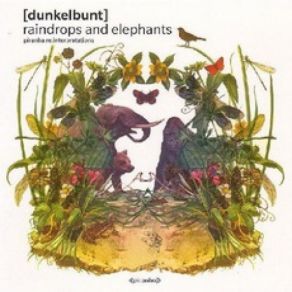 Raindrops And Elephants album cover