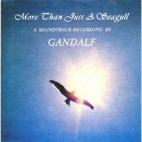 More Than Just A Seagull album cover