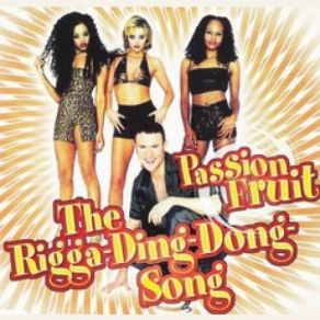 The Rigga-Ding-Dong-Song album cover