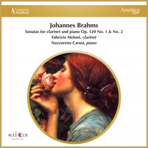 Brahms: Sonatas For Clarinet And Piano, Op. 120 No. 1 & No. 2 album cover