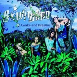 Awake And Breathe album cover