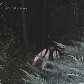 Fuck, I Fell In Love Again (Maxi-Single) album cover