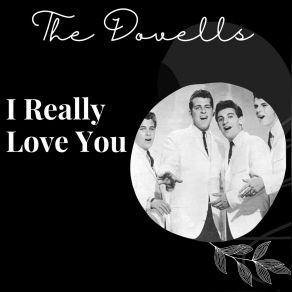 I Really Love You - The Dovells album cover