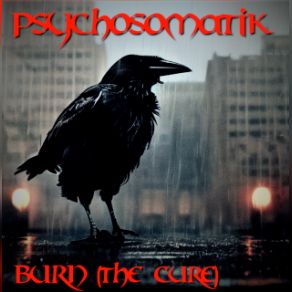 Burn (Maxi-Single) album cover
