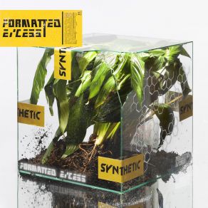 Formatted Excess album cover