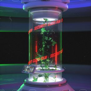 Security Glass Film album cover