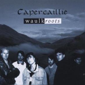Waulkroots album cover