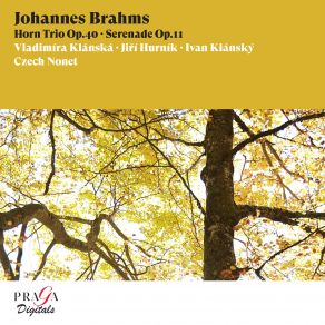 Johannes Brahms: Horn Trio, Op. 40, Serenade, Op. 11 album cover
