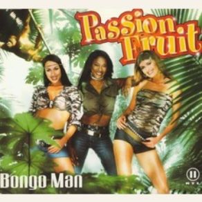 Bongo Man album cover