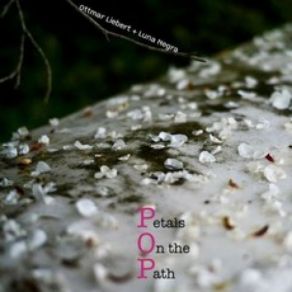 Petals On The Path album cover