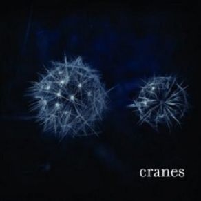 Cranes album cover