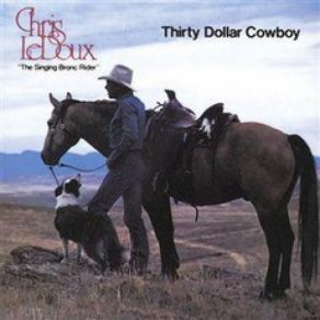 Thirty Dollar Cowboy album cover