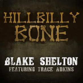 Hillbilly Bone album cover
