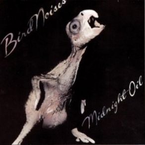Bird Noises album cover