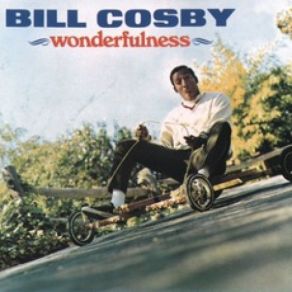 Wonderfulness album cover