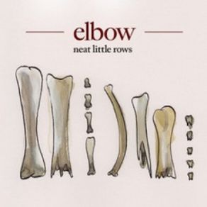 Neat Little Rows (Single) album cover