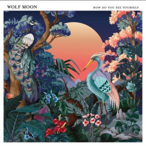 How Do You See Yourself album cover