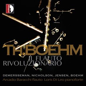 Il Flauto Rivoluzionario album cover