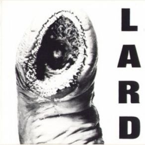 The Power Of Lard (Single) album cover