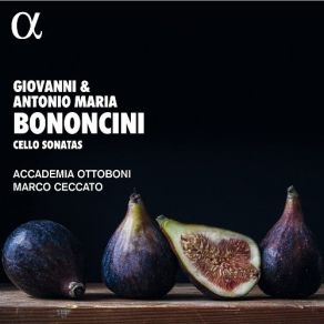 Giovanni & Antonio Maria Bononcini - Cello Sonatas - Marco Ceccato, Accademia Ottoboni album cover